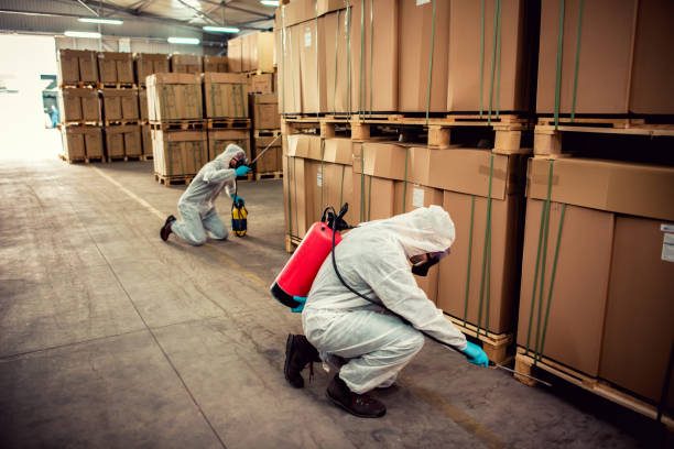 Best Pest Prevention Services  in Pleasant Hill, IA