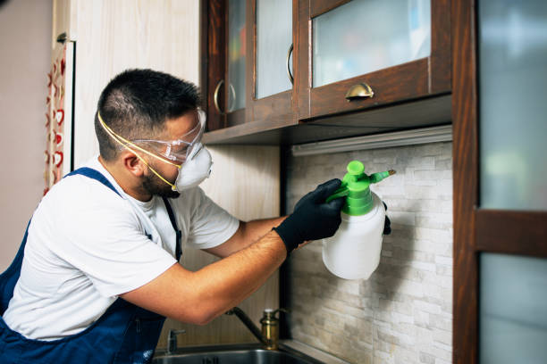 Best Pest Removal Services  in Pleasant Hill, IA