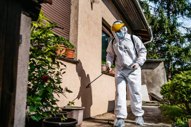Best Local Pest Control Services  in Pleasant Hill, IA