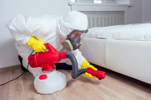 Best Termite Control Services  in Pleasant Hill, IA