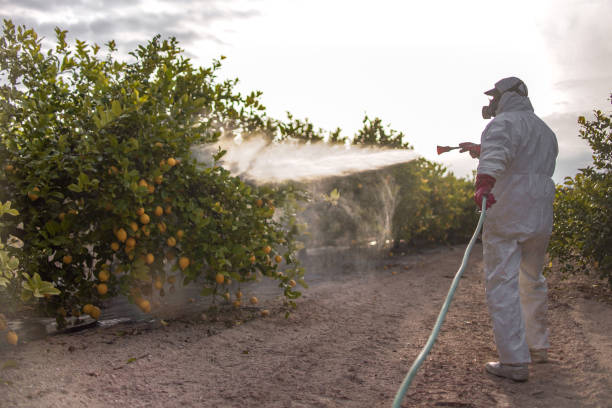 Best Flea Control Services  in Pleasant Hill, IA