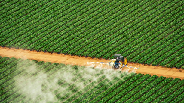 Best Mosquito Control Services  in Pleasant Hill, IA