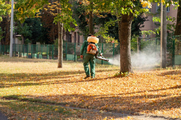 Best Commercial Pest Control Services  in Pleasant Hill, IA