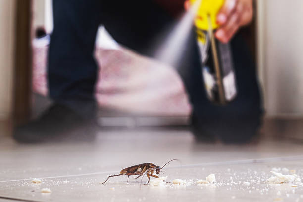 Best Pest Control for Homes  in Pleasant Hill, IA