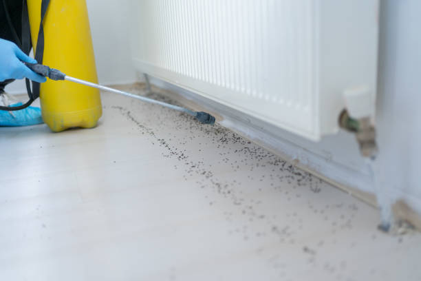 Pest Prevention Services in Pleasant Hill, IA