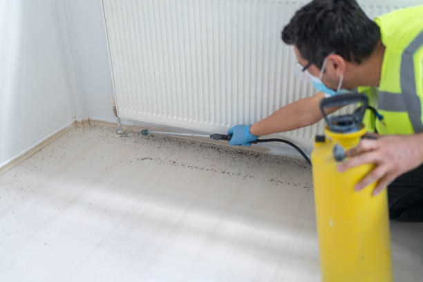 Best Affordable Pest Control Services  in Pleasant Hill, IA